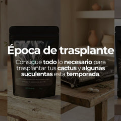 Productos esenciales para trasplante