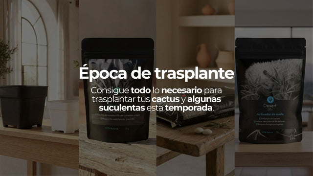 Productos esenciales para trasplante