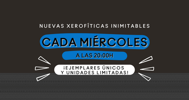 Lanzamiento miércoles