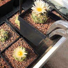 Utensilios para Manejo Vegetal