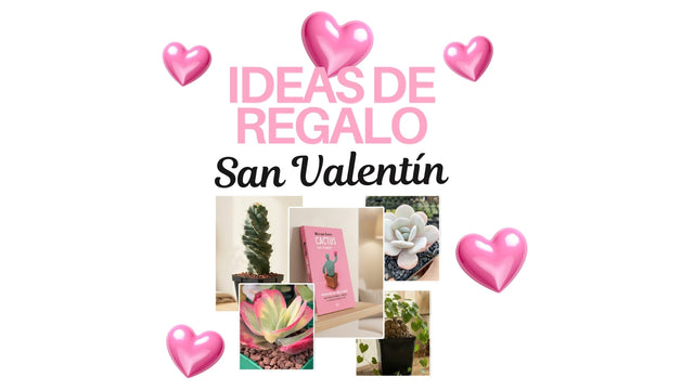 San Valentín