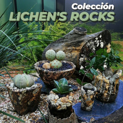 Collection image for: Colección LICHEN´S ROCKS
