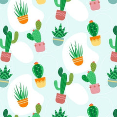 Collection image for: Cactusmanía