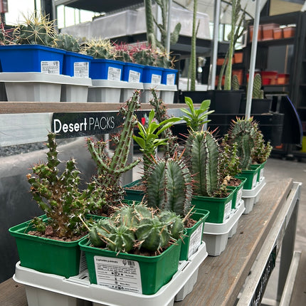 Desert PACKS Euphorbia