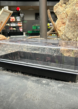 Mini seedbed and greenhouse
