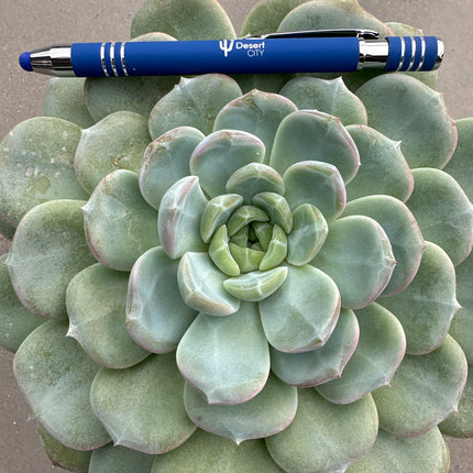 Echeveria 'Snow Tower' | Echeveria Torre de Nieve