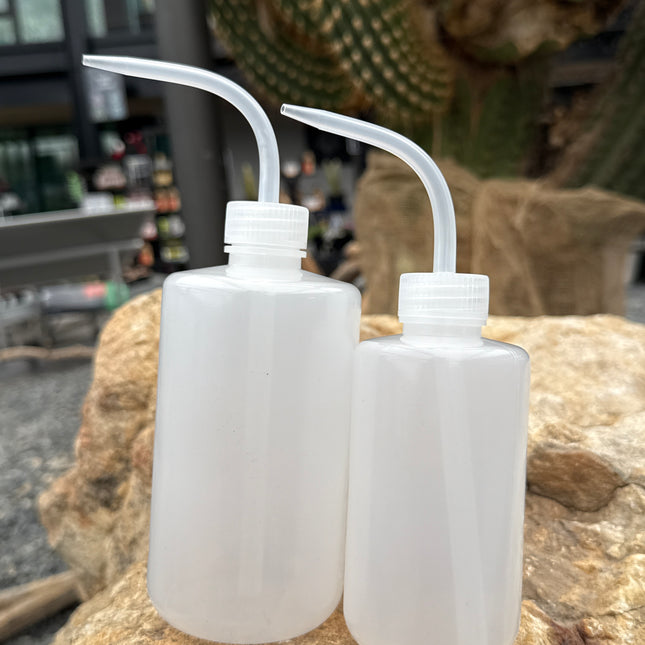 Frasco de riego para suculentas