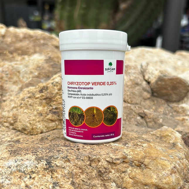 Grünes Chryzotop-Wurzelhormon 0,25 %