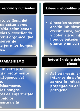 Desert BIN® Activador del suelo. 75g