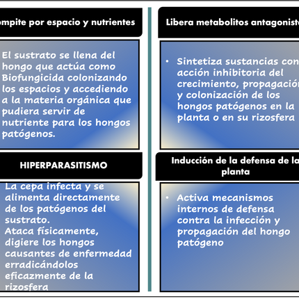 Desert BIN® Bodenaktivator. 75g