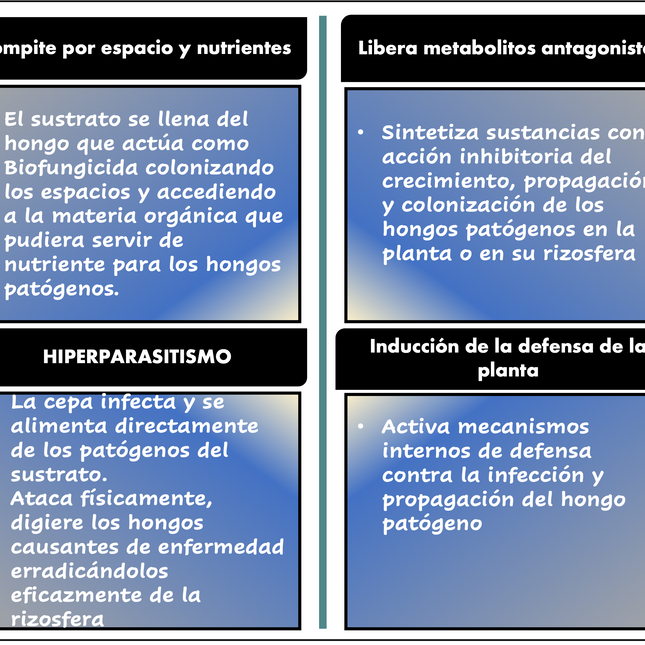 Desert BIN® Activador del suelo. 75g