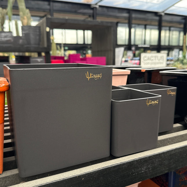 Übertöpfe Basis-Kollektion