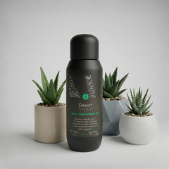 Collection image for: CARE FOR ALOES, HAWORTHIAS &amp; CO
