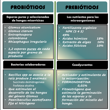 Desert BIN® Micorrizas 75g.