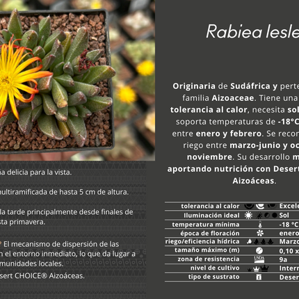 Ragea leslei