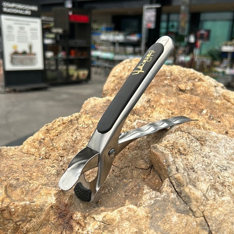 Kaktus-Topf-Clip