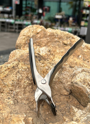 Pinza para macetas de cactus