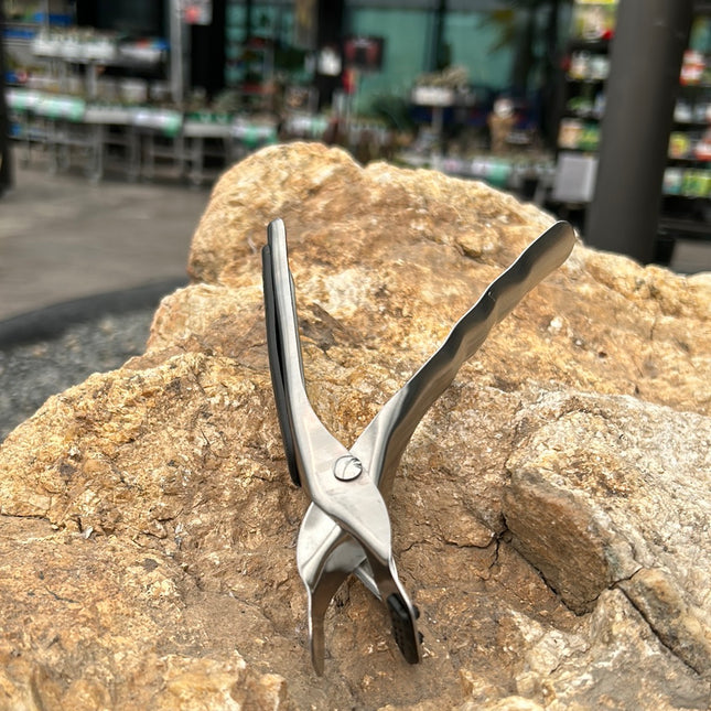 Pinza para macetas de cactus