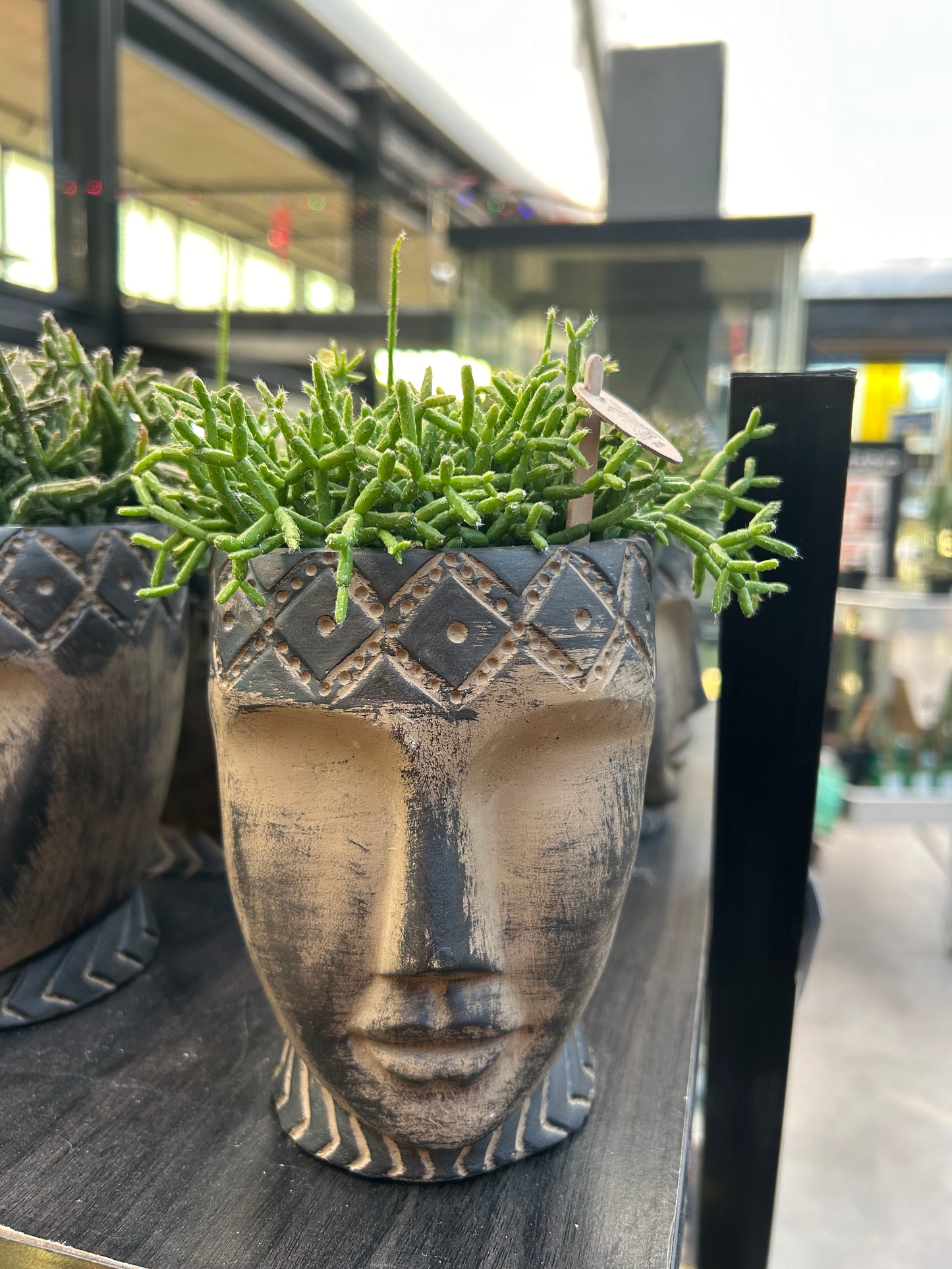 Cactus + Pot Totem Mask 9cm 'Kolibri'