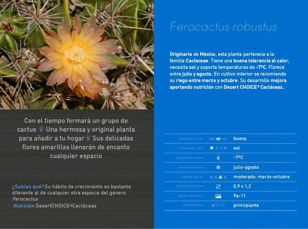 Ferocactus robustus