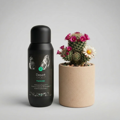 Desert CHOICE® Blüte. 250 ml 