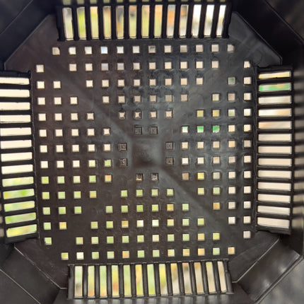 Pack macetas ELITE para Caudex 5uds