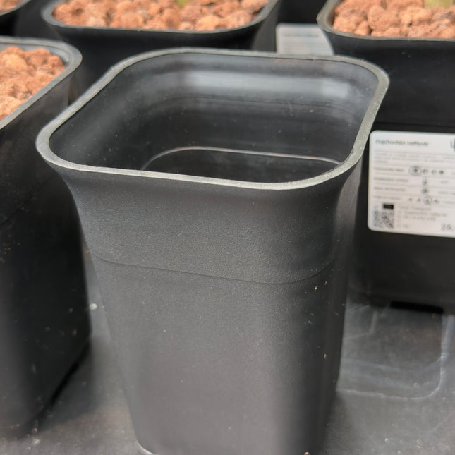 Pack macetas ELITE napiforme 5uds