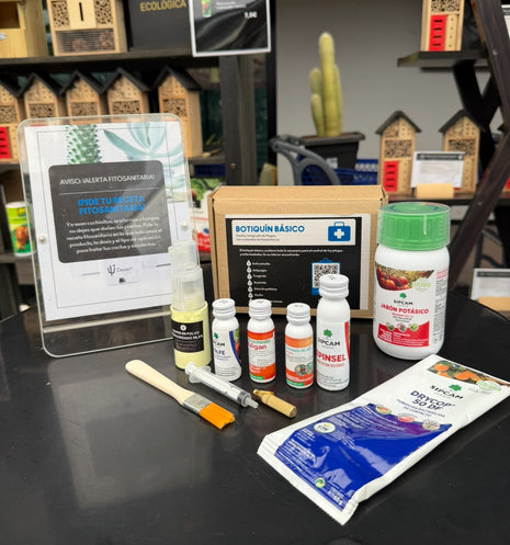 Botiquín básico para cactus y suculentas
