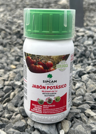 Botiquín básico para cactus y suculentas