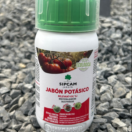 Basic first aid kit for cacti and succulents