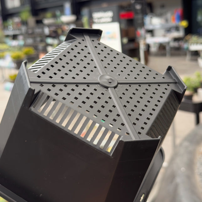 Pack macetas ELITE para Caudex 5uds