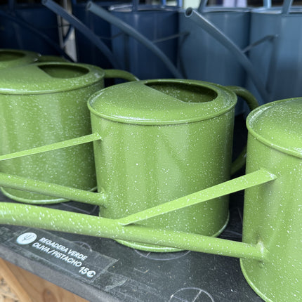 Regadera de interior verde