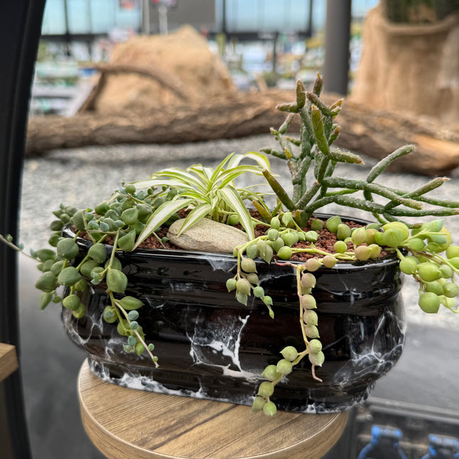 Composition “Rosary of Love”