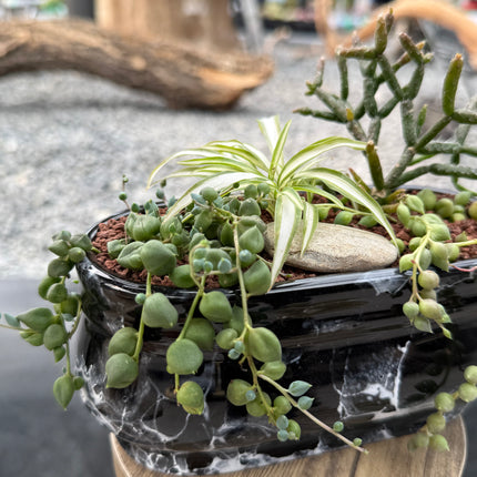 Composition “Rosary of Love”