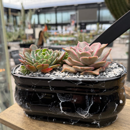 Composition “You and I marbled”