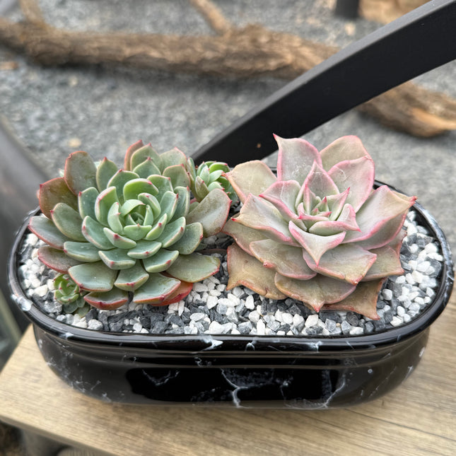 Composition “You and I marbled”