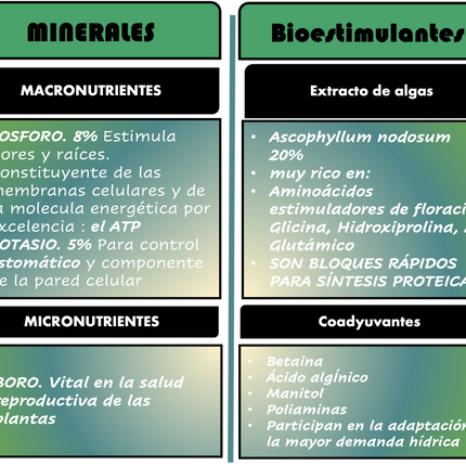 Desert CHOICE® Blüte. 250 ml 