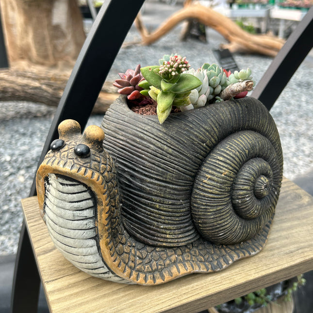 Composición “Caracol” (Retiro en Tienda)