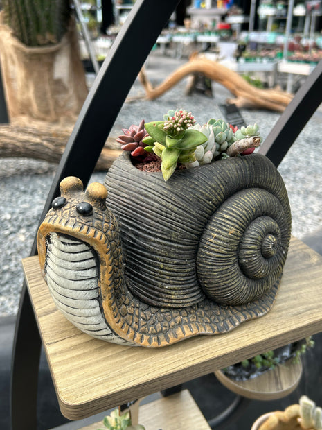 Komposition „Caracol“ (Abholung im Geschäft)