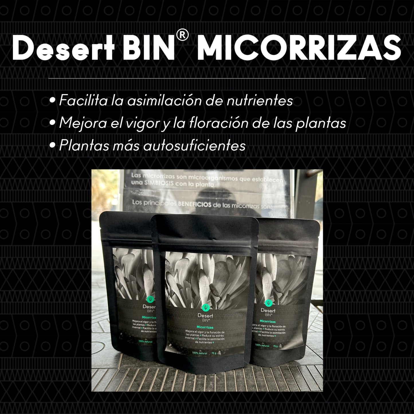 Desert BIN® Mycorrhizae. 75g.
