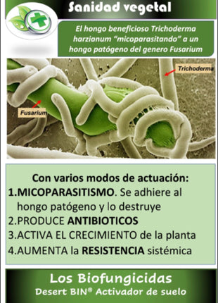 Desert BIN® Activador del suelo. 75g