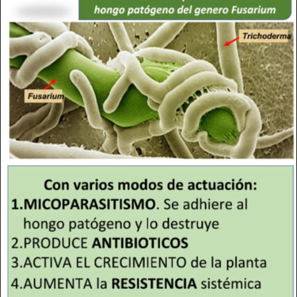 Desert BIN® Bodenaktivator. 75g