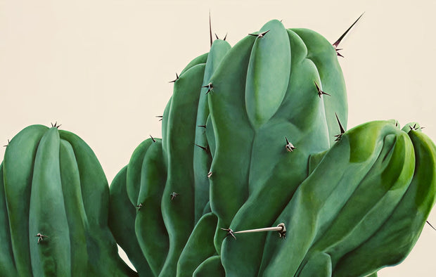 Banner image for: <h2><strong>Formas arquitectónicas</strong></h2>