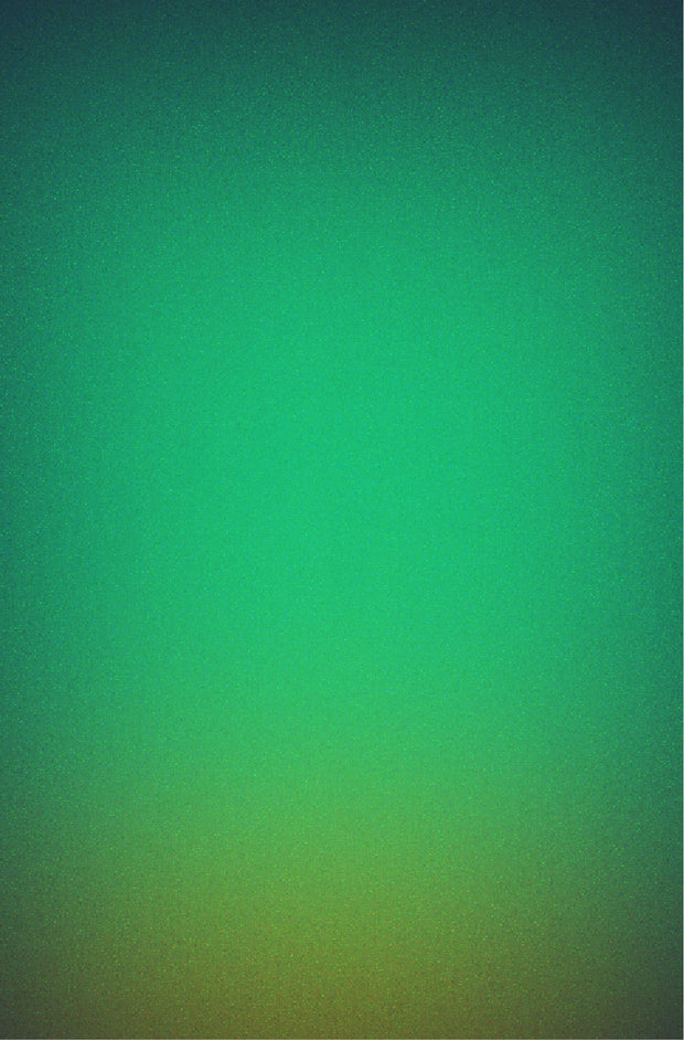 Banner image for: <h2><strong>Investigación Botánica</strong><br/><br/></h2>