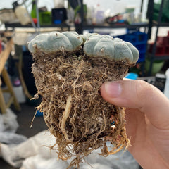 Collection image for: BEST-SELLERS