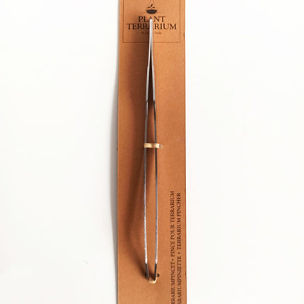 Pinzas terrario largas de punta curva