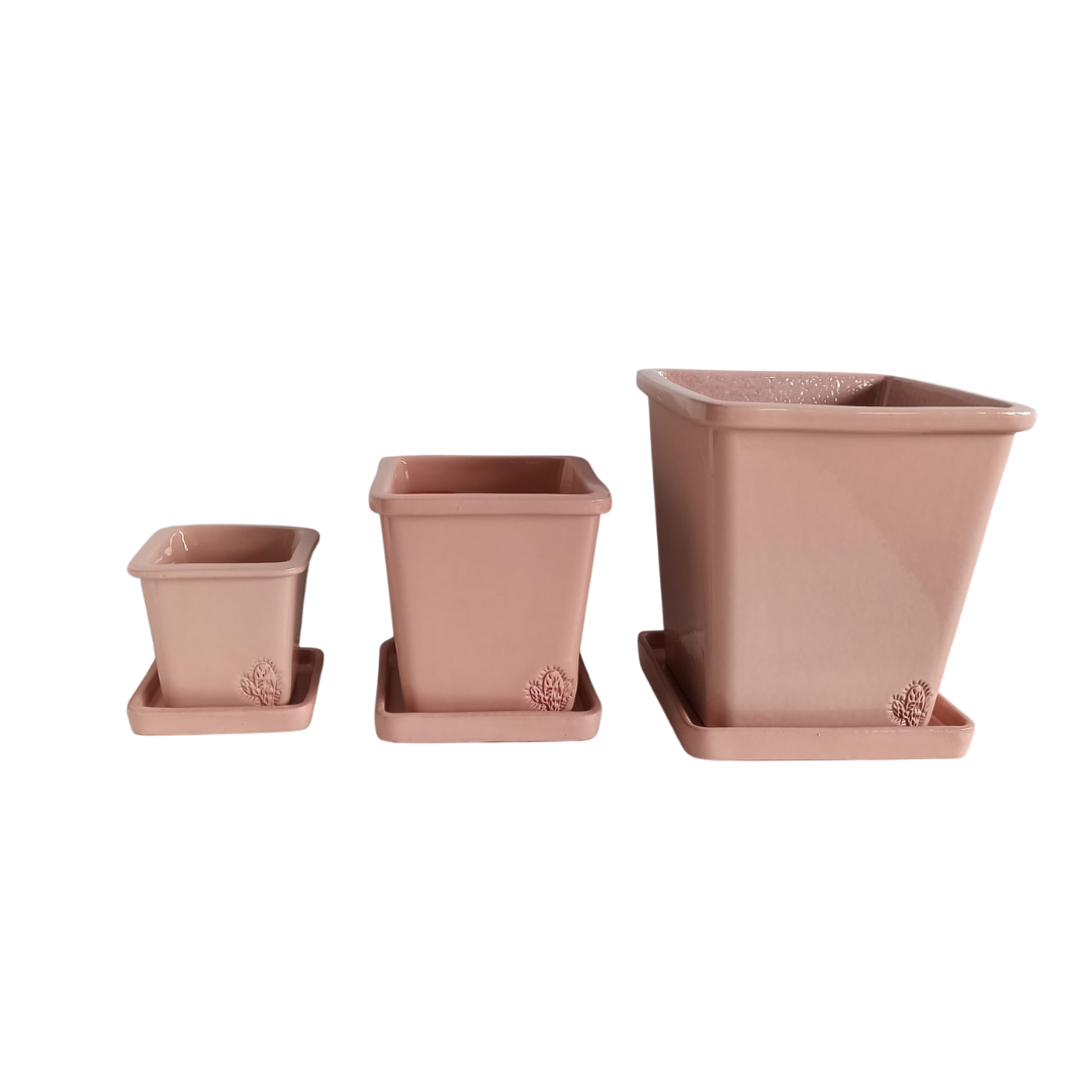 Designer pots + Plate | Fully glazed (arid climate)
