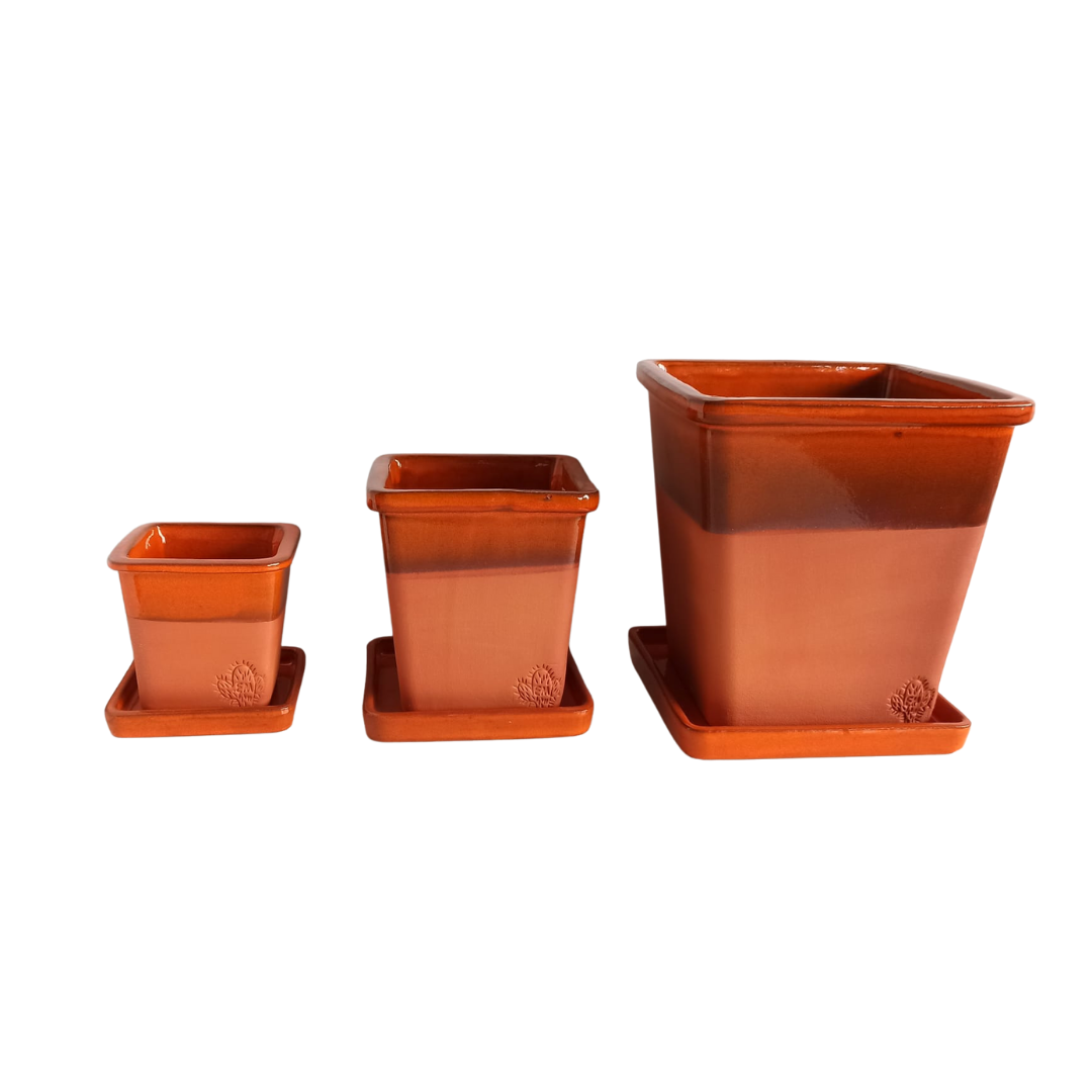 Designer pots + Plate | Glazed strip (humid climate)