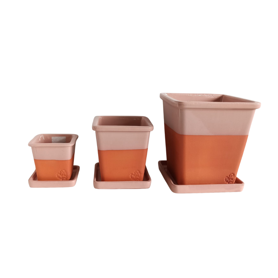 Designer pots + Plate | Glazed strip (humid climate)
