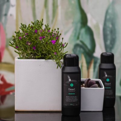 Desert CHOICE® Aizoáceas. 250ml - DesertSTORE.es